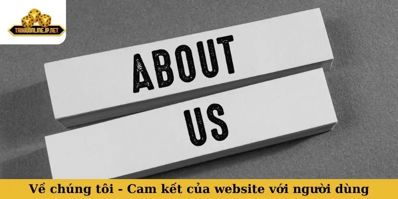 Về chúng tôi Về chúng tôi - Cam kết của website với người dùng